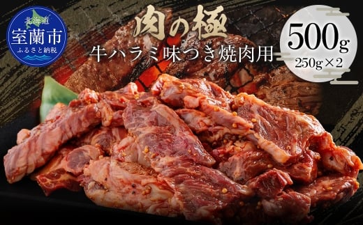 牛ハラミ味つき焼肉用 500g (250g×2) 【ふるさと納税 人気 おすすめ ランキング 肉 牛肉 牛ハラミ 牛 ハラミ にく ニク 味付き 焼肉 バーベキュー BBQ 北海道 室蘭市 送料無料】 MROBM039