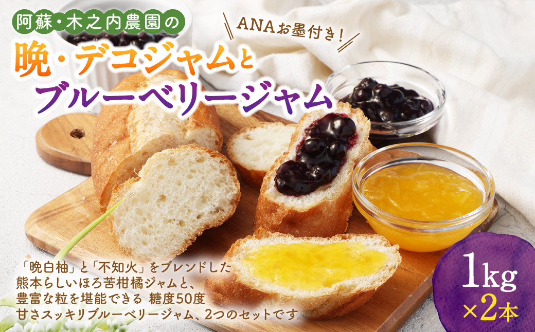 
阿蘇 木之内農園の 晩・デコジャム と ブルーベリージャム セット 各1kg 合計2kg 2種 ジャム 柑橘 みかん 蜜柑 不知火 晩白柚 ブルーベリー
