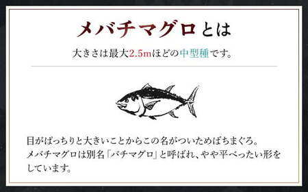 豪華!中トロセット!マグロ 中トロセット(本マグロ600g+メバチマグロ600g) MBT003