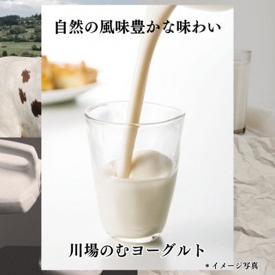 【毎月定期便】4種のチーズとヨーグルトセット全3回【配送不可地域：離島】
