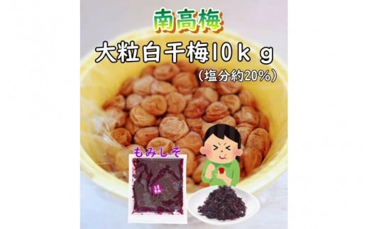 紀州南高梅　ほんまもんの梅干し（塩分20％） 秀品　L,2L,3Lサイズいずれか 10kg樽+もみしそ（250ｇ） / 田辺市 紀州南高梅 南高梅 梅干 梅  しそ 秀品 樽入り 樽漬け 梅干し  【