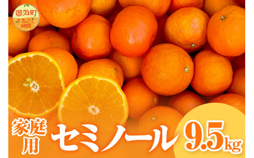 ミカファームのセミノール9.5キロ(家庭用) 果物 フルーツ みかん セミノール 9.5kg 家庭用 三重県 御浜町 