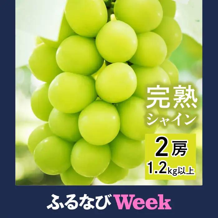 【ふるなびWEEK対象】【完熟】 シャインマスカット 2房 1.2kg以上 098-005-26y-week11