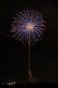 岐阜県大垣市で堪能するプライベート花火 2～4号玉 合計40発（3～4分程度） 