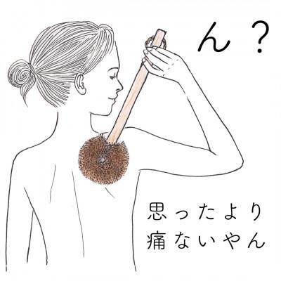 ふるさと納税 海南市 高田耕造商店　しゅろのやさしいたわし　からだ用　檜柄　長 |  | 01