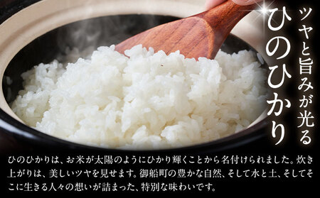 令和7年産 米 お米 こめ ふくどみさんちのお米 ひのひかり 8kg 熊本県産 御船町《30日以内に出荷予定(土日祝除く)》熊本県 御船町 コメ おこめ 熊本 御船 御船 白米 ごはん ヒノヒカリ
