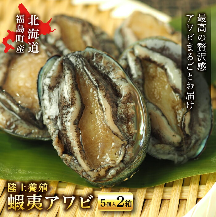 【ふるさと納税】北海道 福島町　陸上 養殖「 蝦夷 アワビ」5個入×2箱 北海道 あわび 鮑 エゾアワビ えぞあわび 海鮮 FKP002