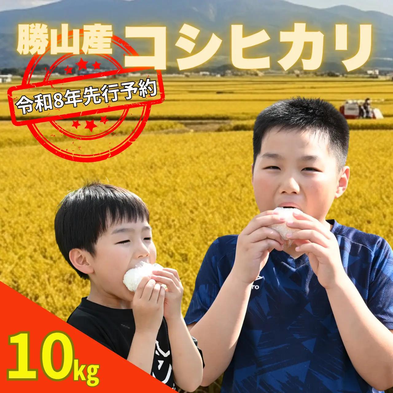 コシヒカリ 精米 10kg 令和8年産 コシヒカリ