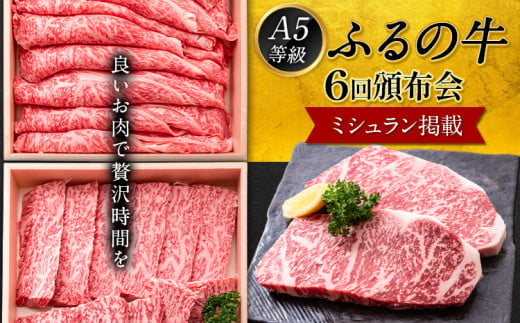 ふるの牛 頒布会 計2kg以上 全6回《お申込み月の翌月から出荷開始》ふるの牛 サーロインステーキ定期便 ---skr_fhrntei_22_200000_mo6num1---