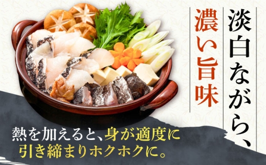 【2027年2月配送】天然 クエ鍋セット（2～3人前）《壱岐市》【一支國屋】 [JCC010] クエ くえ クエ鍋 くえ鍋 海鮮 魚介 鍋 アラ アラ鍋 
