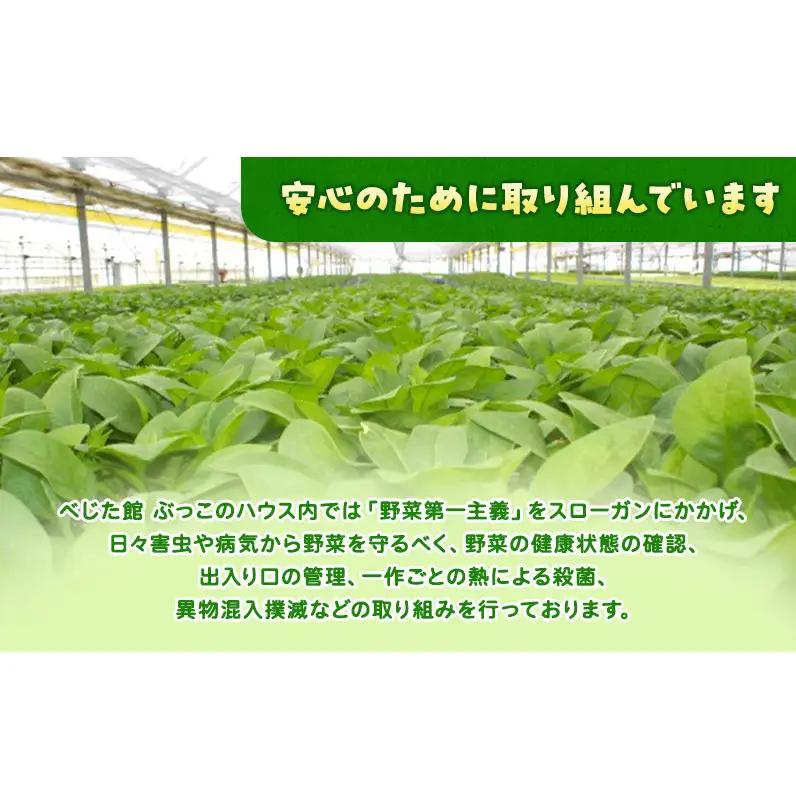 ホワイトミニセルリー 30袋入り 野菜 詰め合わせ セルリー セロリ ミニセロリ 新鮮 産地直送 業務用 大容量 まとめ買い 野菜セット ギフト 詰合せ 常備野菜