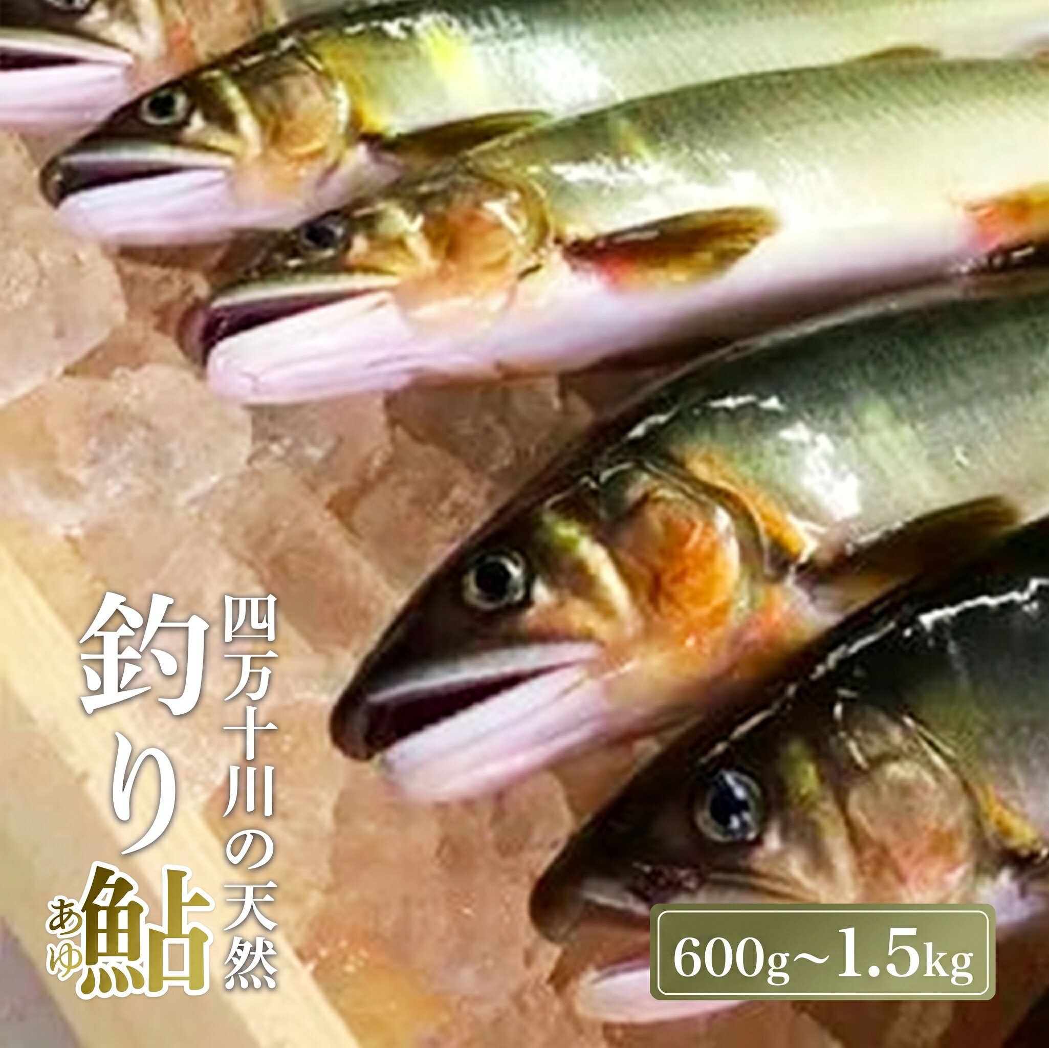 【ふるさと納税】 天然鮎 600g～1.5kg 冷凍 4～22尾 個包装 四万十川 上流 清流 釣り鮎 あゆ アユ 川魚 天然 釣り 魚 さかな 魚介 煮物 甘露煮 焼き魚 寿司 小分け 新鮮 アウトドア バーベキュー BBQ キャンプ 国産 酒 ビール おつまみ 弁当 惣菜 高知 四万十 中土佐