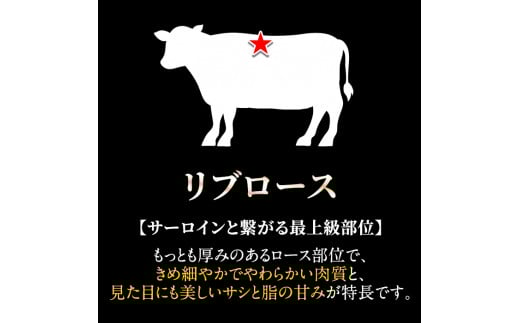 C-080＜数量限定！＞鹿児島県産黒毛和牛リブロース肉600g(A-5等級)【九面屋】霧島市 国産 牛肉 鹿児島県産 黒毛和牛 肉 精肉 牛 すき焼き しゃぶしゃぶ A5等級