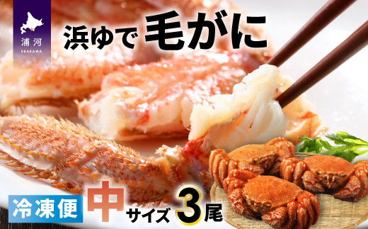 
＜冷凍＞漁協の浜ゆで毛がに 中サイズ3尾セット[02-772]
