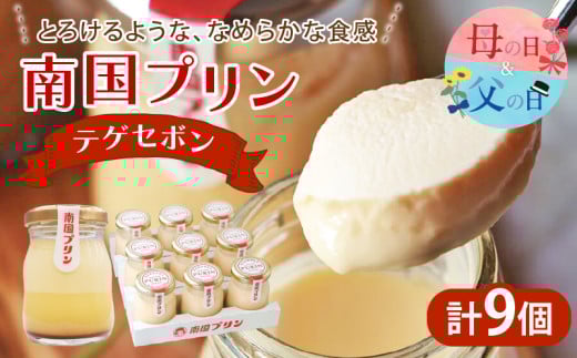 【父の日までにお届け】南国プリン「テゲセボン(計9個)」 スイーツ 洋菓子 国産_T038-0051-FA