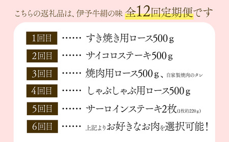 12回定期便 【日時指定可・冷蔵】 伊予牛絹の味 プレミアム 堪能コース+α ※関東以北・沖縄は冷凍｜ 黒毛和牛 A4～A5
