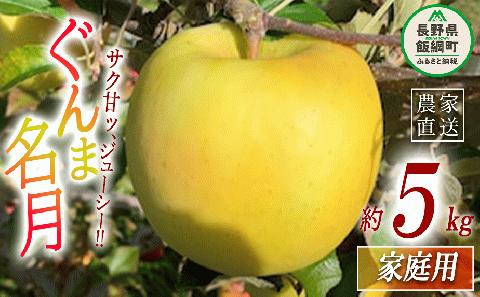 りんご ぐんま名月 家庭用 5kg ファームトヤ 沖縄県への配送不可 2024年11月中旬頃から2024年12月下旬頃まで順次発送予定 令和6年度収穫分 農家直送 長野県 飯綱町 [1424]