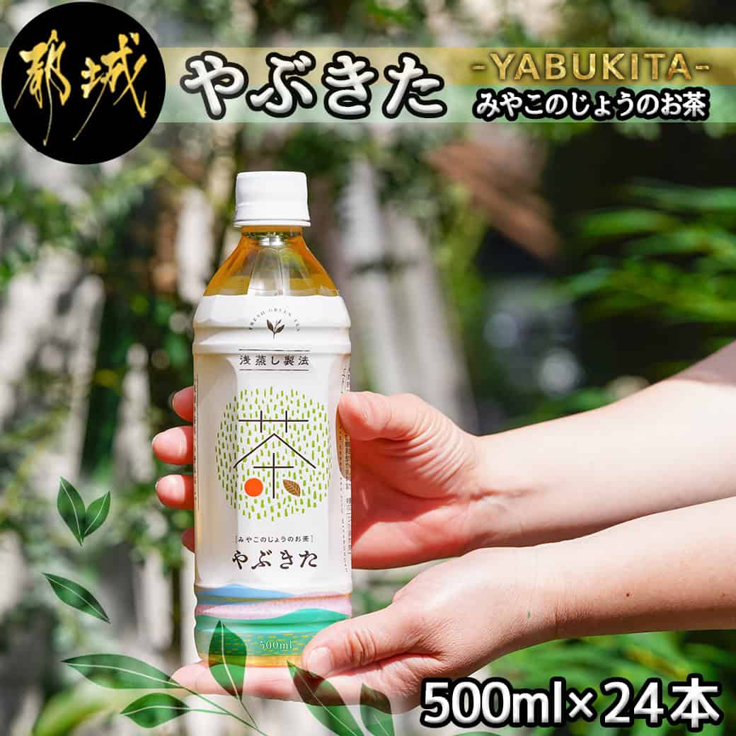 【ふるさと納税】【みやこのじょうのお茶】やぶきた500ml×24本(1ケース) - 緑茶 ペットボトル 500ml 24本 浅蒸し製法 さわやかで深い味わい ペットボトル緑茶 PET NiQLL ニクル 送料無料 AO-I501 【宮崎県都城市は2年連続ふるさと納税日本一！】