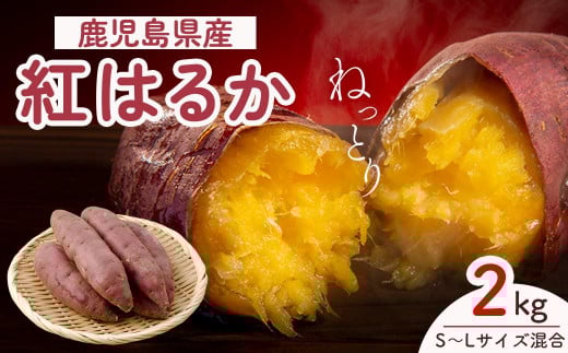 
            【先行予約】紅蜜芋　紅はるか　2kg
          