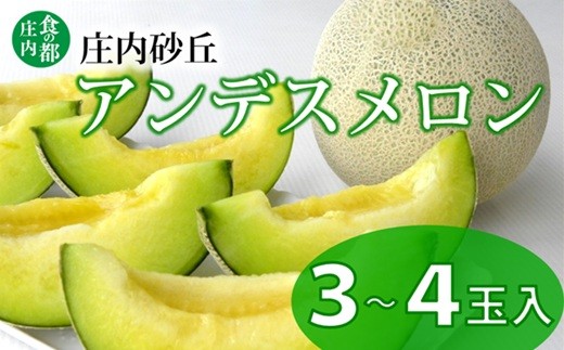 【2026年産 先行予約】食の都庄内　プロの技！庄内砂丘アンデスメロン　※2026年7月上旬頃より発送開始予定