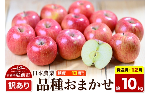 【26年12月発送】りんご 品種おまかせ【訳あり】約10kg 平均糖度13度以上 青森県 弘前市 果物 フルーツ 林檎 リンゴ くだもの 不揃い 規格外 [先行予約 家庭用 産地直送 アップル 青森県 弘前市]