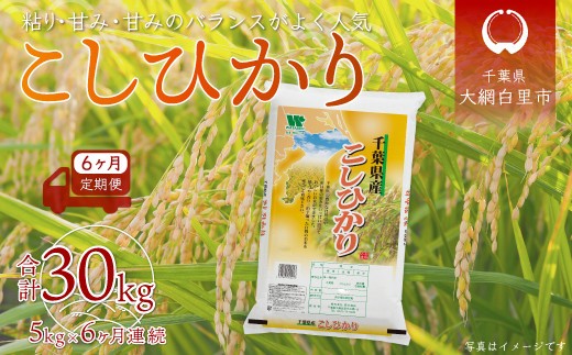 ＜6ヶ月定期便＞ 令和7年産 千葉県産「コシヒカリ」5kg×6ヶ月連続 計30kg A026