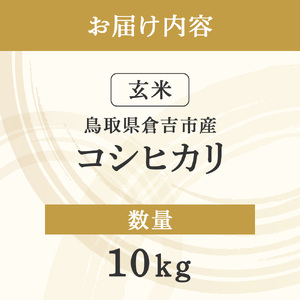 コシヒカリ 玄米 10kg 令和7年産 新米