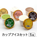 【ふるさと納税】牧場直送 アイス 120ml ×5種 計5個 詰め合わせ 食べ比べ [岩瀬牧場 北海道 砂川市 12260519] カップアイス ジェラート アイスクリーム スイーツ デザート スウィーツ おやつ