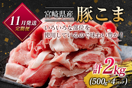 ［50セット限定］こゆ牛・豚・鶏バラエティ3ヵ月定期便 ファミリーパック ※2025年10月配送開始【E141-04】
