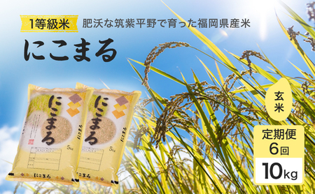 にこまる 1等級米 玄米 福岡県産 にこまる【10kg】【定期便6回】