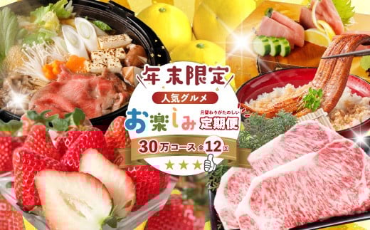 
            【年末限定】 12回 定期便 四万十 人気 グルメ お楽しみ定期便 しまんと ふるさと 30万円 今だけ 年末 限定 肉 いちご 文旦 うなぎ 牛肉 パン まぐろ マグロ かつお フルーツ 人気グルメ ごちそう 贅沢 豪華 高知 四万十市 25-618
          