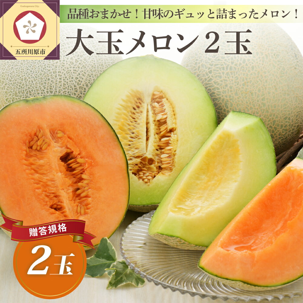 【ふるさと納税】【 2025年 先行予約 】 8月 贈答用 大玉 メロン 2玉 五所川原 青森 津軽産 【 発送時期が選べる 】 ふるさと納税 メロン 2玉 予約 めろん フルーツ 果物 旬 くだもの 常温 人気 お取り寄せ ご当地 特産 季節 東北 送料無料 スイーツ 夏