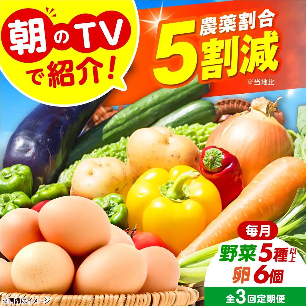 【全3回定期便】 米ぬかで育てた！旬のお野菜＆平飼い卵セット ベジ彩ファーム[AOEJ005] 野菜