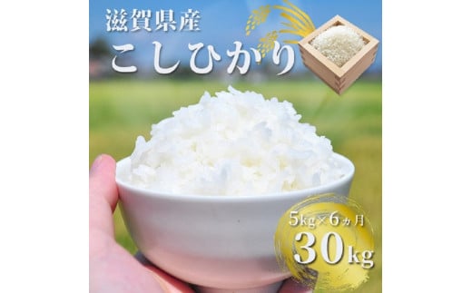 【先行予約】H08  ぎおん米コシヒカリ 計30kg（5kg×6ヵ月） 株式会社ＴＫＳ