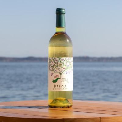 ふるさと納税 かすみがうら市 KLEMA 立花ブドウ園 巨峰 2025 白ワイン 750ml×1本