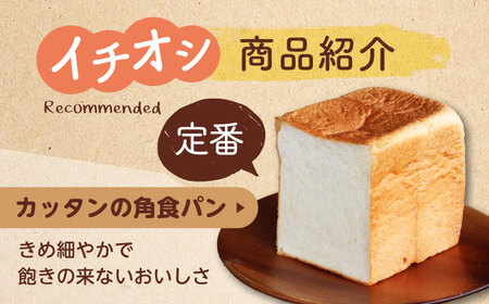 【12回定期便】 卵不使用！厳選詰め合わせ 11個セット ( 食パン 菓子 惣菜パン) 【パンの店 カッタン】 パン 人気 大人気[MEJ008]