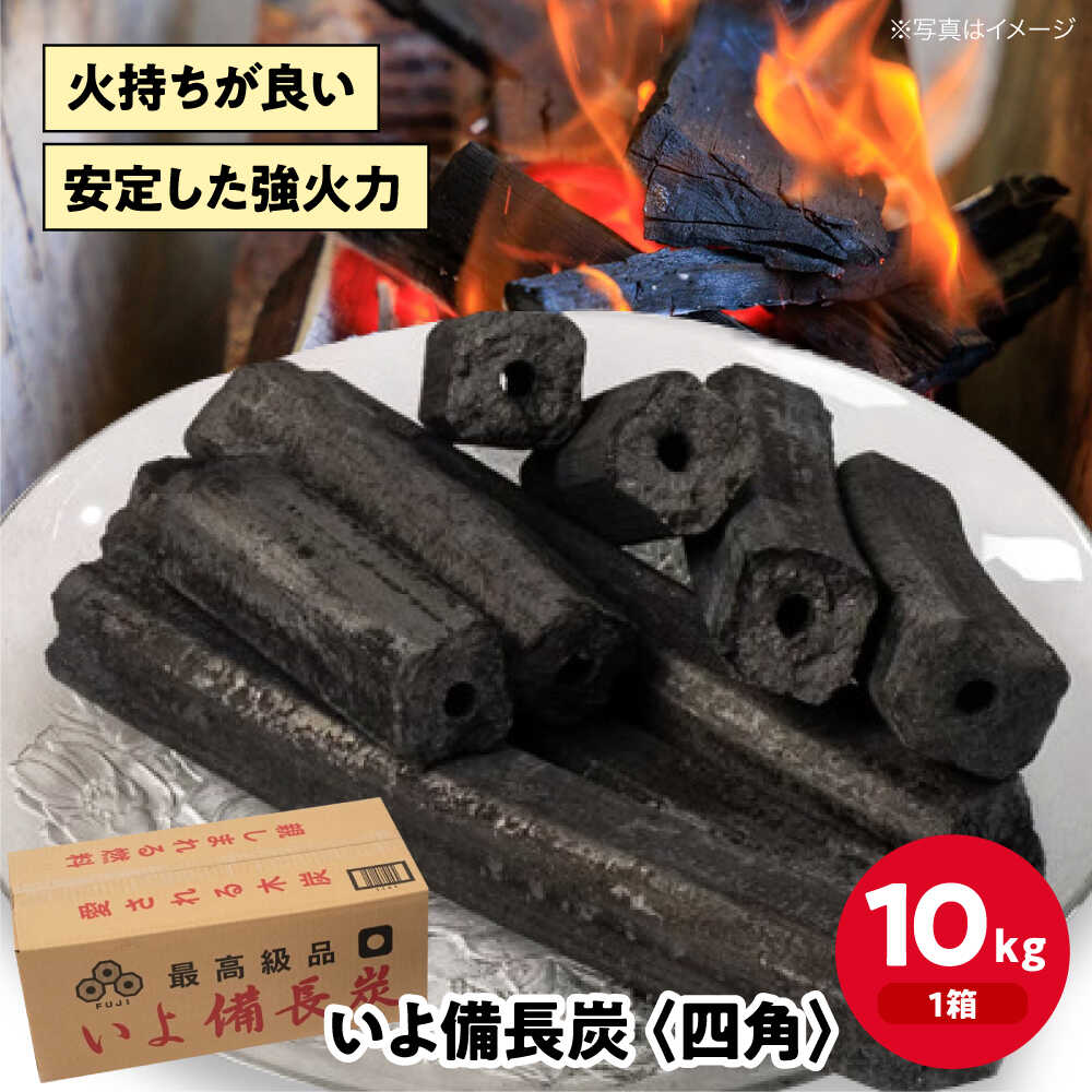 【ふるさと納税】「いよ備長炭　四角」10kg　愛媛県大洲市/ミスタースミス 備長炭 オガ炭 炭 炭焼き 炭火 脱臭 除湿[AGAK001]