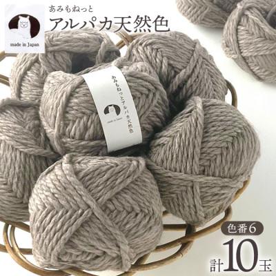 ふるさと納税 江南市 あみもねっと アルパカ天然色 6番色 10玉セット