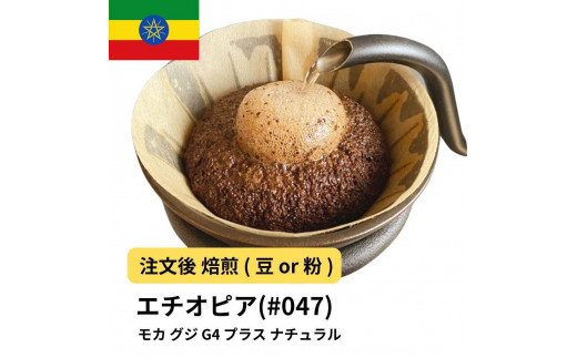 
            コーヒー #047 モカ グジ G4 プラス ナチュラル 310g 当日焙煎 大山珈琲 （豆または中挽きから選択）
          