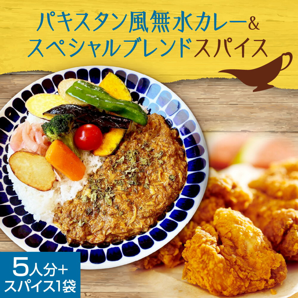 【ふるさと納税】 カレーキット パキスタン風 無水カレー 5人分 スペシャルブレンドスパイスセット 1袋 ゴチソウスパイスヤマダマサラ レシピ付き スパイスカレー 自然素材 本格 スパイス カレー 手軽 安心 北海道 札幌市