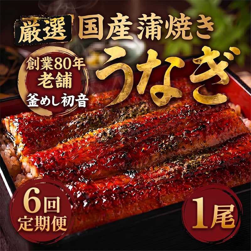 【定期便6回】70年継ぎ足しの秘伝のたれ！初音の厳選高知県産うなぎ蒲焼き1尾（1尾約190g～220g）＿ 国産 うなぎ 鰻 蒲焼き かば焼き タレ付き 高知県産 冷凍 海鮮 うな重 うな丼 人気 お