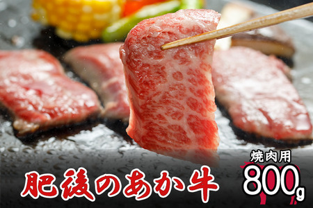 【令和6年7月出荷分】肥後の赤牛 焼肉用 800g