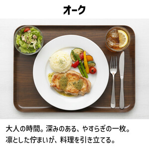 TATSU-CRAFT マグネットトレー SS 21.5cm ウッド OK オーク すべり止め付き ［Tk1041］