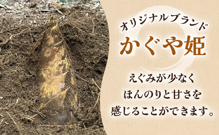 【2027年3月下旬より順次発送】森町産朝掘りたけのこ2.5kg前後 たけのこ 筍 タケノコ 春の味覚 こだわり 朝堀り 当日出荷 かぐや姫 甘い 静岡県 森町