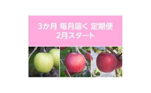 ＜発送月固定定期便＞〈2026年2月より順次発送〉甘味系・青森りんご約5kg 全3回【4051698】