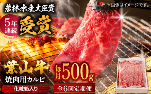 【全6回定期便】 葉山牛 焼肉用カルビ500g  / 牛肉 牛 肉 お肉 国産 赤身肉 やきにく 焼き肉 カルビ かるび BBQ ブランド牛 和牛 黒毛和牛 国産牛 贈答 ギフト 冷凍 葉山 定期 定期便  【有限会社葉山旭屋牛肉店】 [ASAP039]