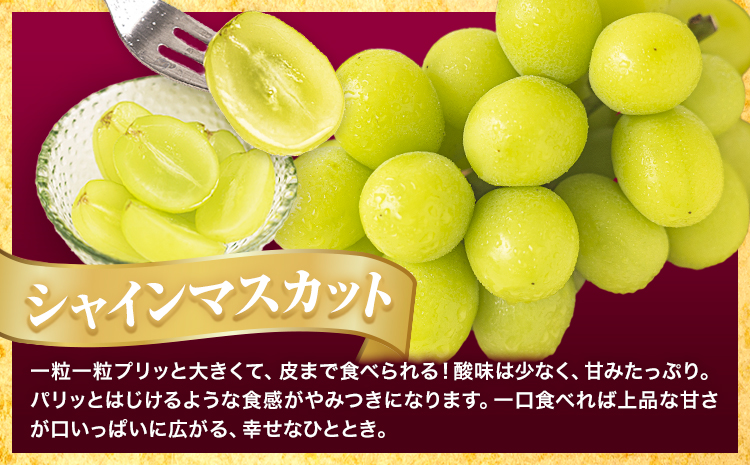 【先行予約】訳あり シャインマスカット・ニューピオーネ 詰め合わせ 約1.2kg 2房《9月中旬-11月上旬頃出荷》岡山県 浅口市 果物 くだもの ぶどう 葡萄 マスカット フルーツ デザート 優品