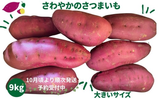 【予約受付中・2026年10月頃より順次発送】さわやかのサツマイモ 大きいサイズ　9kg　ねっとり 甘い  鳴門　さつまいも　国産 スイーツ 焼き芋 焼芋　天ぷら 干し芋