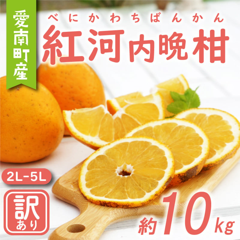 
訳あり 紅 河内晩柑 大玉 （ 2L - 5L ） 10kg 7000円 みかん かわちばんかん 愛南ゴールド あいなん ゴールド 美生柑 文旦 グレープフルーツ 和製 幻 の 紅河内晩柑 紅晩柑 希少 家庭用 産地直送 国産 農家直送 糖度 果樹園 期間限定 数量限定 特産品 ゼリー ジュース 果汁 人気 限定 さわやか 甘い フルーツ 果物 柑橘 蜜柑 規格外 愛媛県 愛南町 あいなんマザーズ
