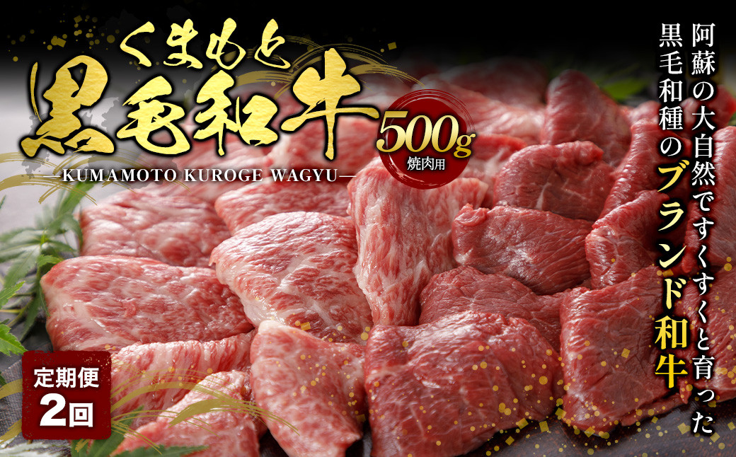 くまもと黒毛和牛 焼肉用 500g